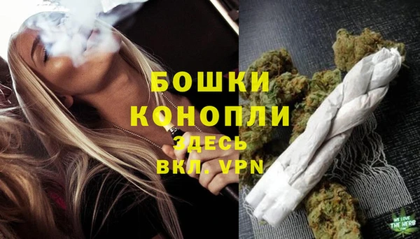 шишки Наволоки
