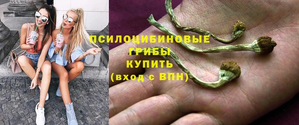 соль ск Михайловка