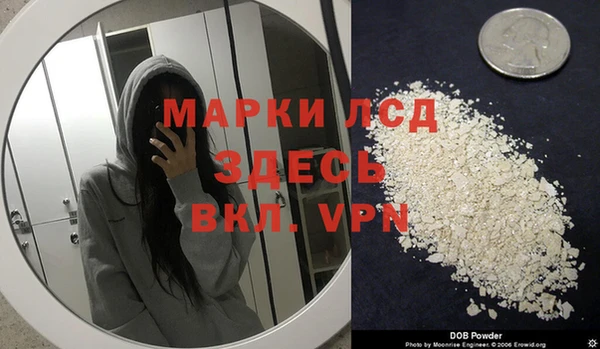 шишки Наволоки