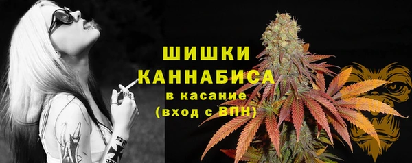PSILOCYBIN Михайловск