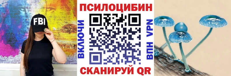 Псилоцибиновые грибы прущие грибы  Купить закладки  Никольск 