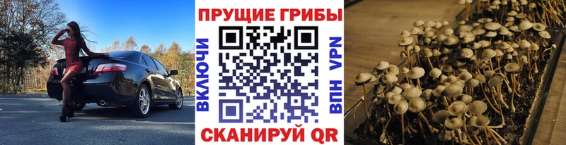 Галлюциногенные грибы мицелий Никольск